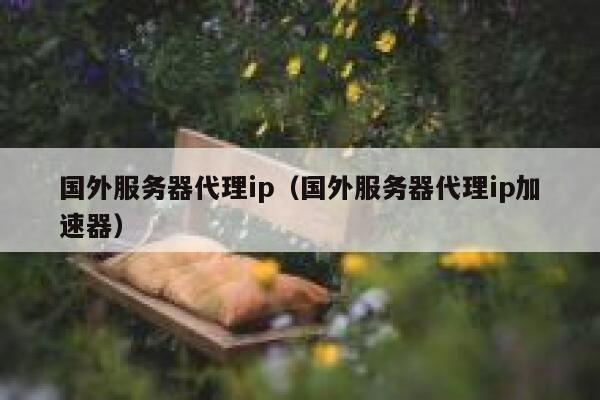 国外服务器代理ip（国外服务器代理ip加速器） 第1张