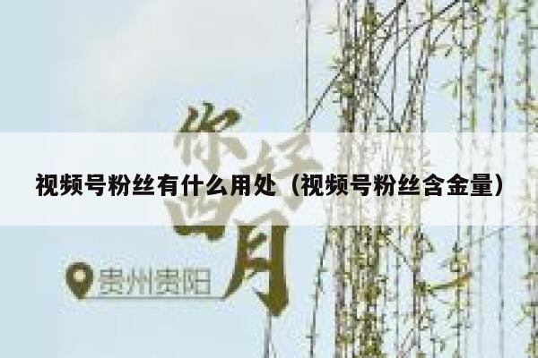 视频号粉丝有什么用处（视频号粉丝含金量） 第1张