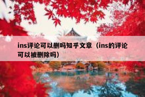 ins评论可以删吗知乎文章（ins的评论可以被删除吗） 第1张