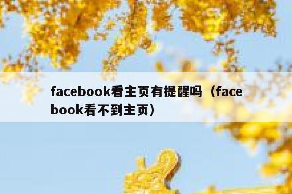 facebook看主页有提醒吗（facebook看不到主页） 第1张