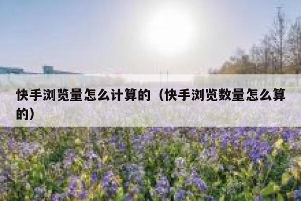 快手浏览量怎么计算的（快手浏览数量怎么算的） 第1张