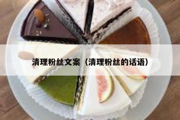 清理粉丝文案（清理粉丝的话语） 第1张