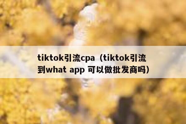 tiktok引流cpa（tiktok引流到what app 可以做批发商吗） 第1张