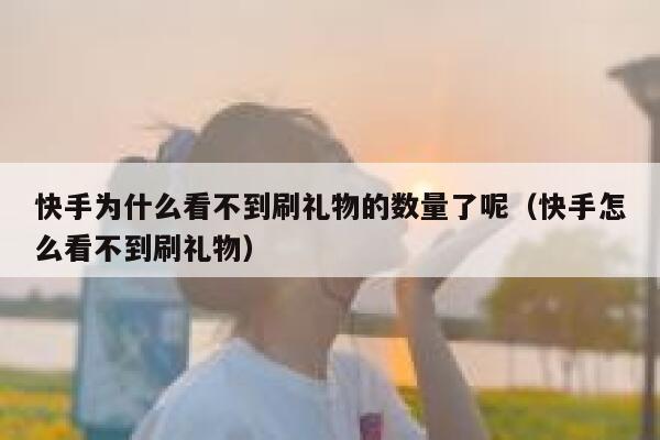 快手为什么看不到刷礼物的数量了呢（快手怎么看不到刷礼物） 第1张