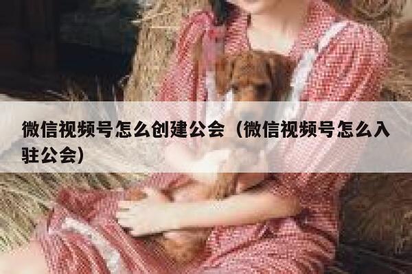微信视频号怎么创建公会（微信视频号怎么入驻公会） 第1张