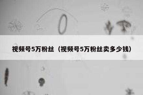 视频号5万粉丝（视频号5万粉丝卖多少钱） 第1张
