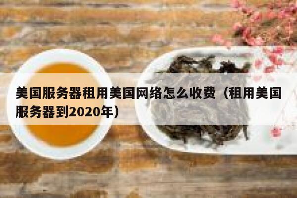 美国服务器租用美国网络怎么收费（租用美国服务器到2020年） 第1张