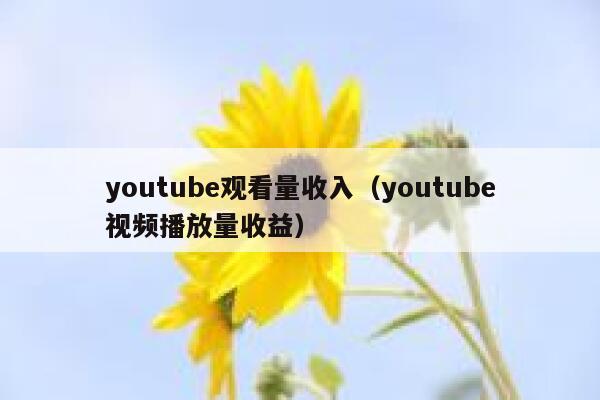 youtube观看量收入（youtube视频播放量收益） 第1张