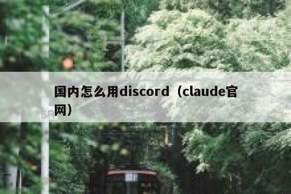 国内怎么用discord（claude官网） 第1张
