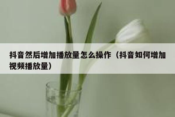 抖音然后增加播放量怎么操作（抖音如何增加视频播放量） 第1张