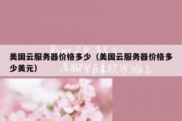 美国云服务器价格多少（美国云服务器价格多少美元） 第1张