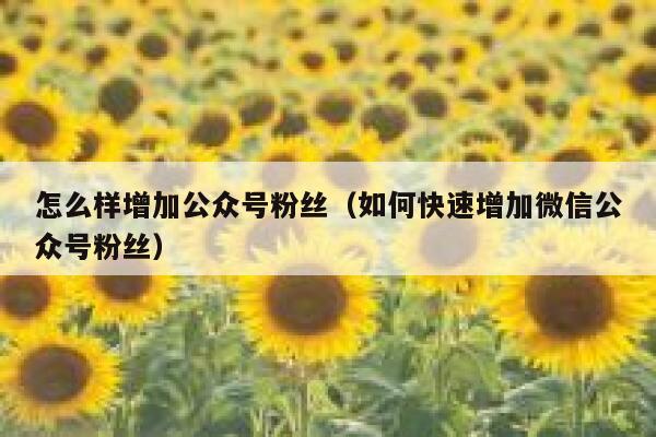 怎么样增加公众号粉丝（如何快速增加微信公众号粉丝） 第1张
