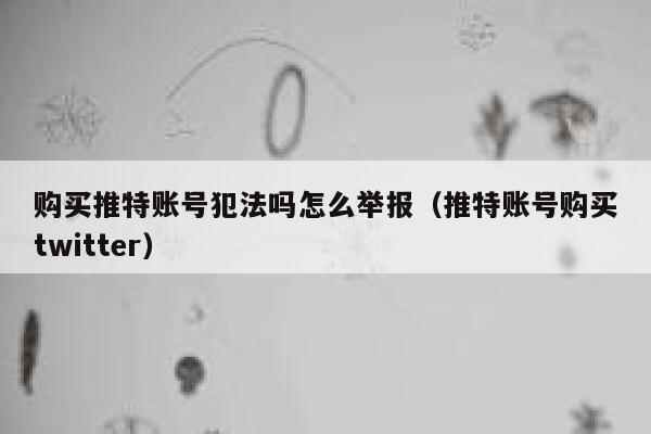 购买推特账号犯法吗怎么举报（推特账号购买twitter） 第1张