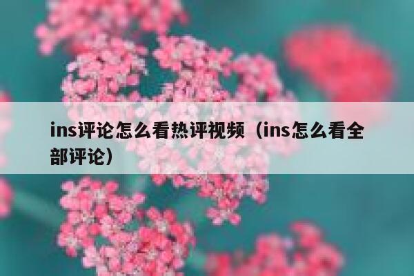 ins评论怎么看热评视频（ins怎么看全部评论） 第1张