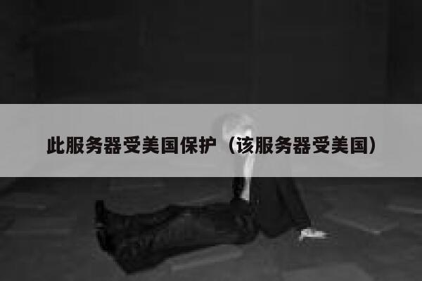 此服务器受美国保护（该服务器受美国） 第1张