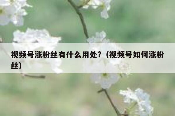 视频号涨粉丝有什么用处?（视频号如何涨粉丝） 第1张