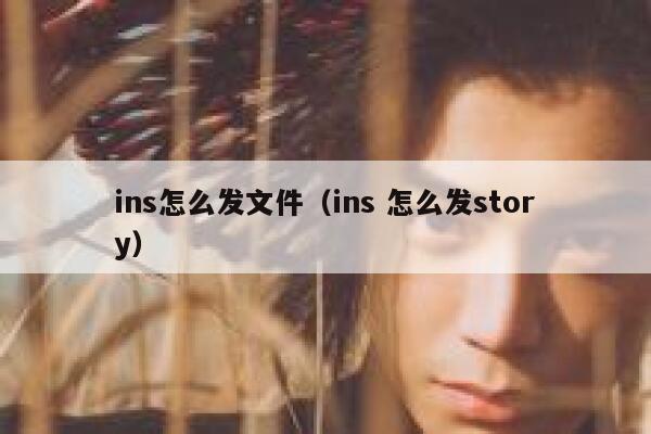 ins怎么发文件（ins 怎么发story） 第1张