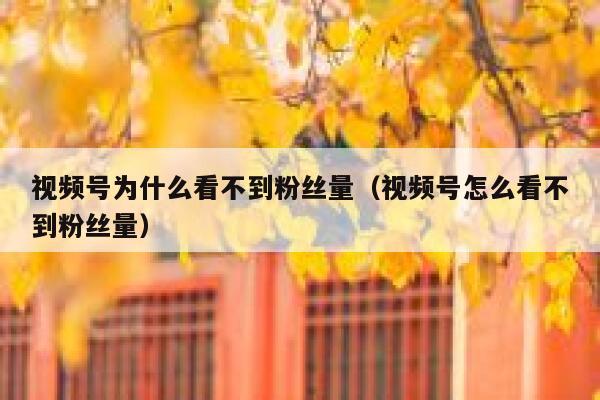视频号为什么看不到粉丝量（视频号怎么看不到粉丝量） 第1张