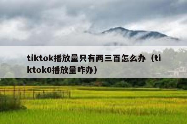 tiktok播放量只有两三百怎么办（tiktok0播放量咋办） 第1张