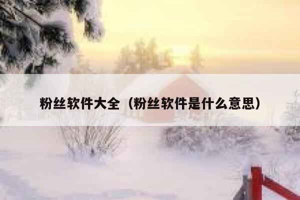 粉丝软件大全（粉丝软件是什么意思） 第1张