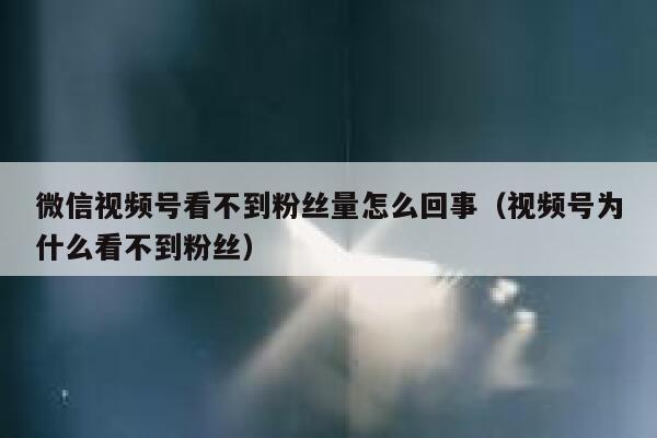 微信视频号看不到粉丝量怎么回事（视频号为什么看不到粉丝） 第1张