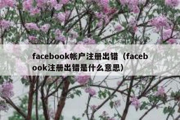 facebook帐户注册出错（facebook注册出错是什么意思） 第1张