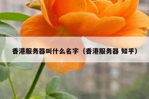 香港服务器叫什么名字（香港服务器 知乎） 第1张