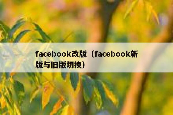 facebook改版（facebook新版与旧版切换） 第1张
