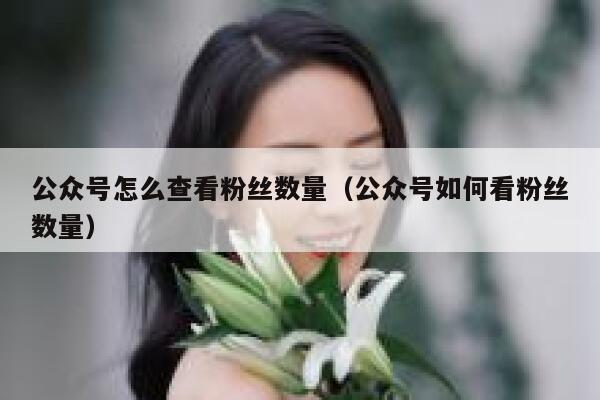 公众号怎么查看粉丝数量（公众号如何看粉丝数量） 第1张