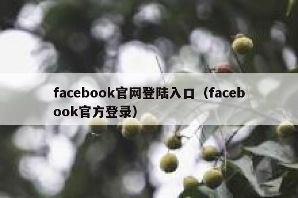 facebook官网登陆入口（facebook官方登录） 第1张