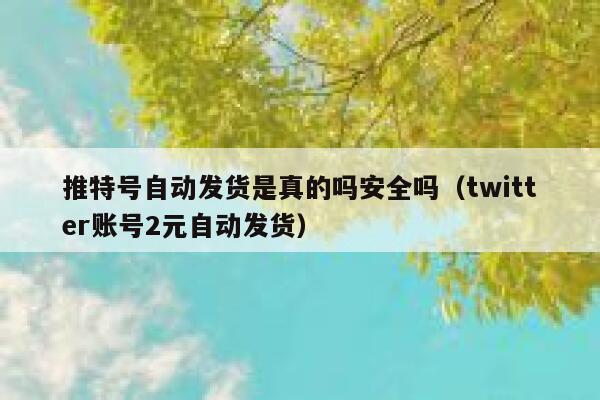 推特号自动发货是真的吗安全吗（twitter账号2元自动发货） 第1张