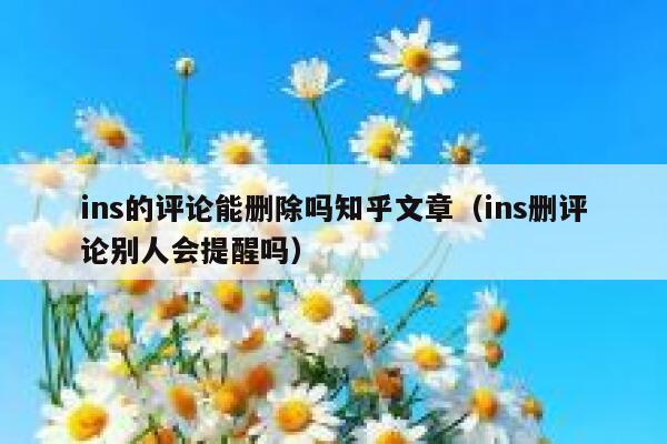 ins的评论能删除吗知乎文章（ins删评论别人会提醒吗） 第1张