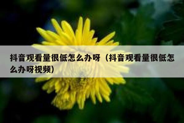 抖音观看量很低怎么办呀（抖音观看量很低怎么办呀视频） 第1张