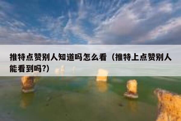 推特点赞别人知道吗怎么看（推特上点赞别人能看到吗?） 第1张