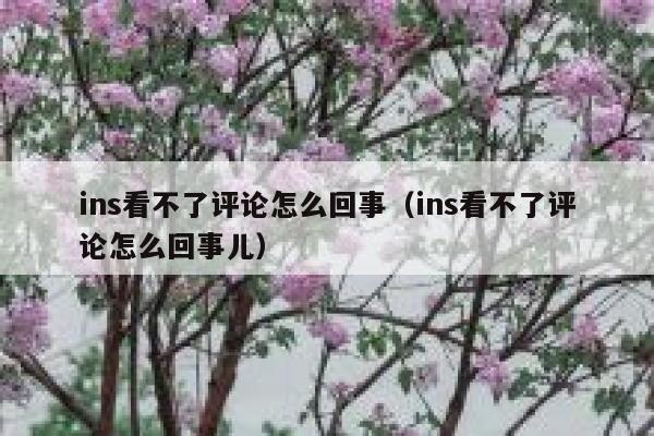 ins看不了评论怎么回事（ins看不了评论怎么回事儿） 第1张