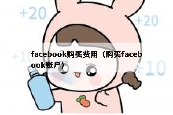facebook购买费用（购买facebook账户） 第1张
