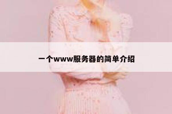 一个www服务器的简单介绍 第1张
