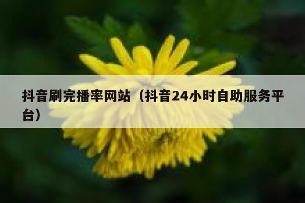 抖音刷完播率网站（抖音24小时自助服务平台） 第1张