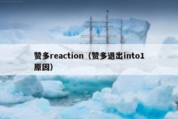 赞多reaction（赞多退出into1原因） 第1张