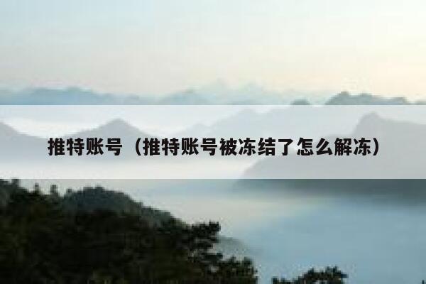 推特账号（推特账号被冻结了怎么解冻） 第1张