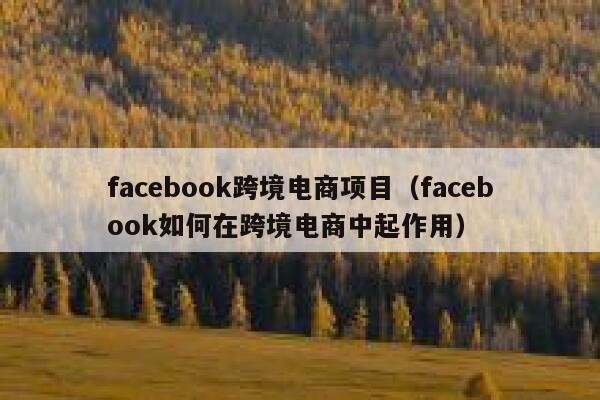 facebook跨境电商项目（facebook如何在跨境电商中起作用） 第1张
