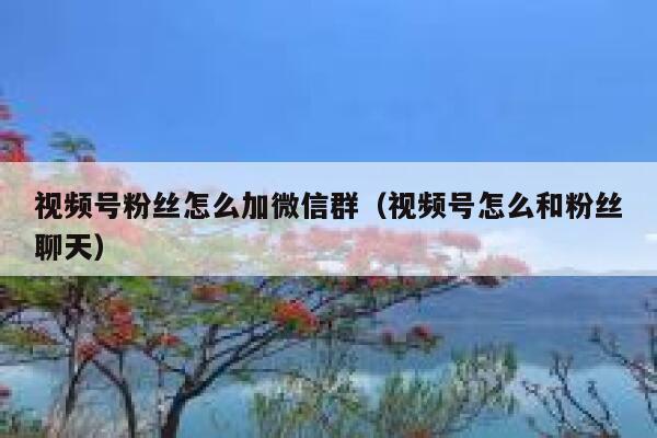 视频号粉丝怎么加微信群（视频号怎么和粉丝聊天） 第1张