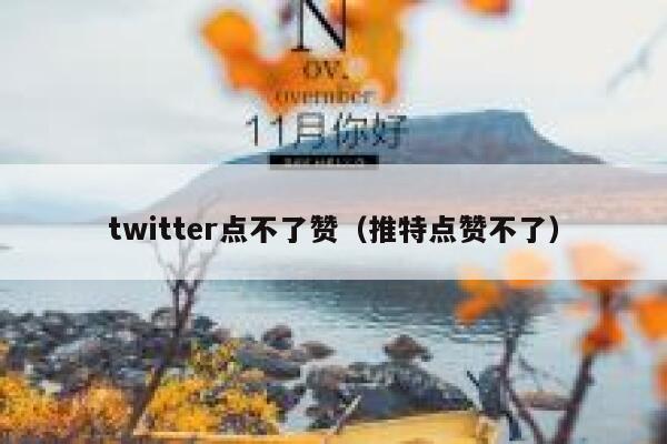 twitter点不了赞（推特点赞不了） 第1张