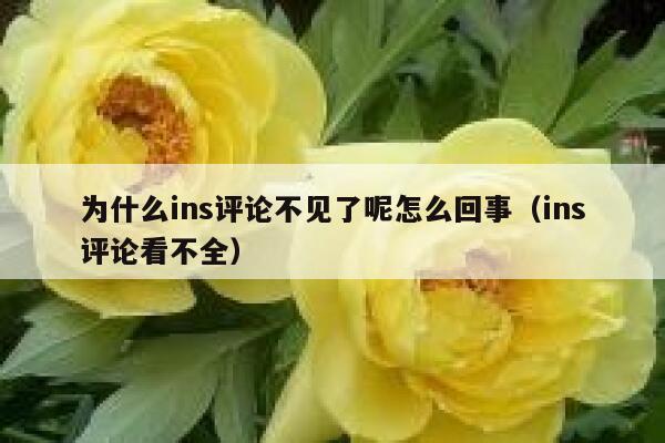 为什么ins评论不见了呢怎么回事（ins评论看不全） 第1张