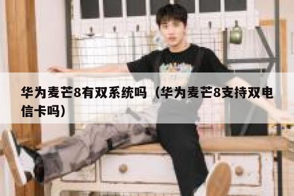 华为麦芒8有双系统吗（华为麦芒8支持双电信卡吗） 第1张