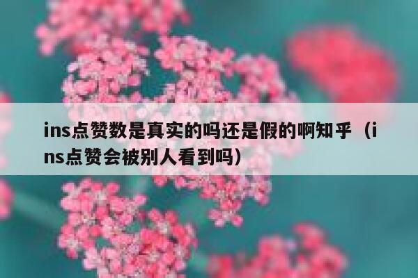 ins点赞数是真实的吗还是假的啊知乎（ins点赞会被别人看到吗） 第1张