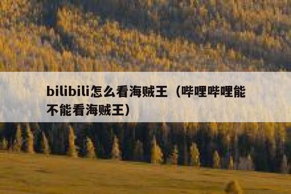 bilibili怎么看海贼王（哔哩哔哩能不能看海贼王） 第1张