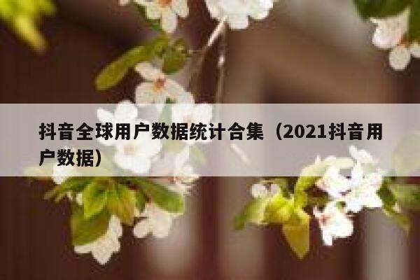 抖音全球用户数据统计合集（2021抖音用户数据） 第1张