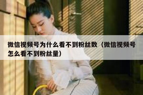 微信视频号为什么看不到粉丝数（微信视频号怎么看不到粉丝量） 第1张