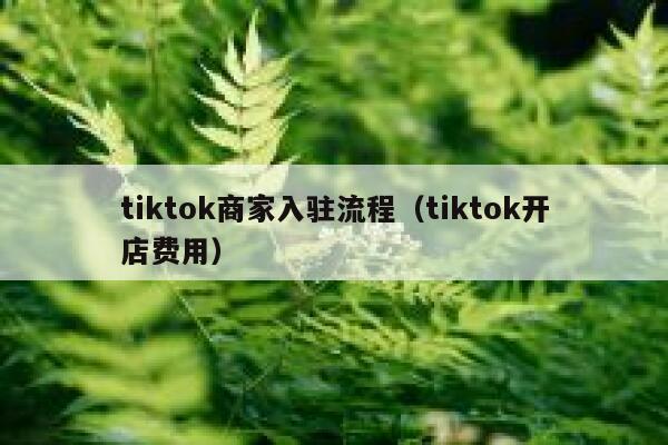 tiktok商家入驻流程（tiktok开店费用） 第1张